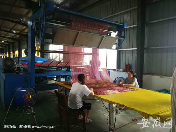 QQ图片20190705094428